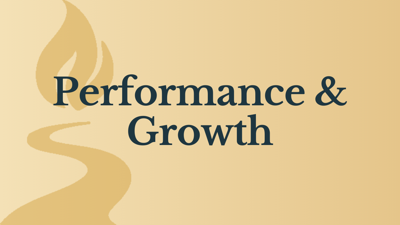 Performance & Growth service